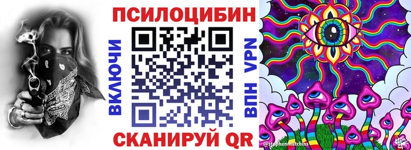 Псилоцибиновые грибы Psilocybe  гидра маркетплейс  Котовск 
